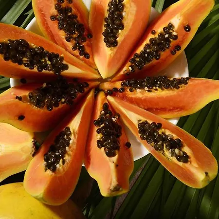 Roma Imperiale Forte dei Marmi