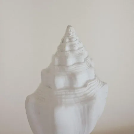 호텔 Roma Imperiale 포르데데이마르미