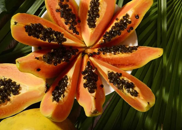 Roma Imperiale Forte dei Marmi