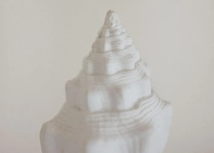 Hotel Roma Imperiale Forte dei Marmi